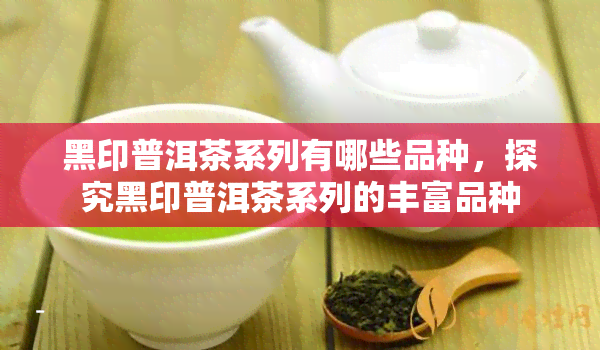 黑印普洱茶系列有哪些品种，探究黑印普洱茶系列的丰富品种