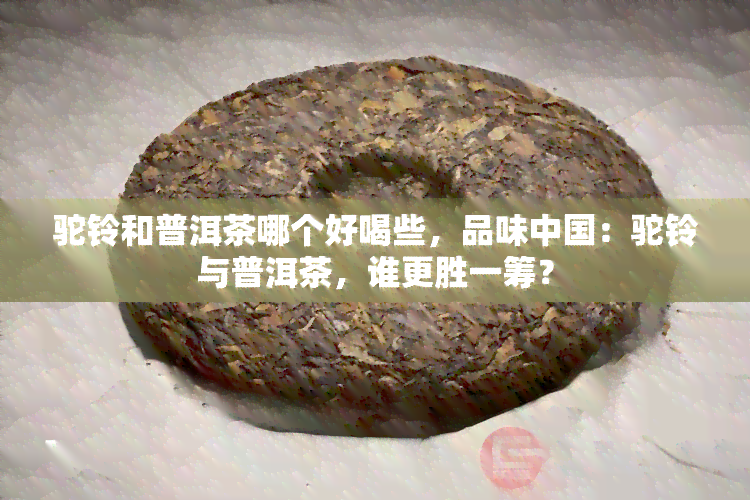 驼铃和普洱茶哪个好喝些，品味中国：驼铃与普洱茶，谁更胜一筹？