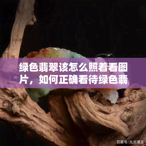 绿色翡翠该怎么照着看图片，如何正确看待绿色翡翠的图片：一份全面指南