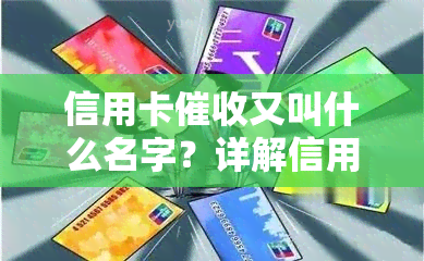 信用卡又叫什么名字？详解信用卡员职责及2021工作情况，同时了解2020年信用卡规定