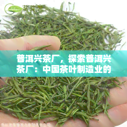 普洱兴茶厂，探索普洱兴茶厂：中国茶叶制造业的瑰宝