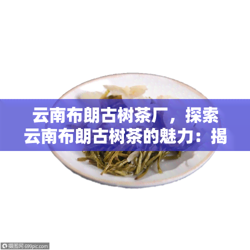 云南布朗古树茶厂，探索云南布朗古树茶的魅力：揭秘云南布朗古树茶厂的故事