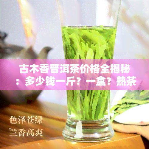 古木香普洱茶价格全揭秘：多少钱一斤？一盒？熟茶饼？天香款？全面解析！