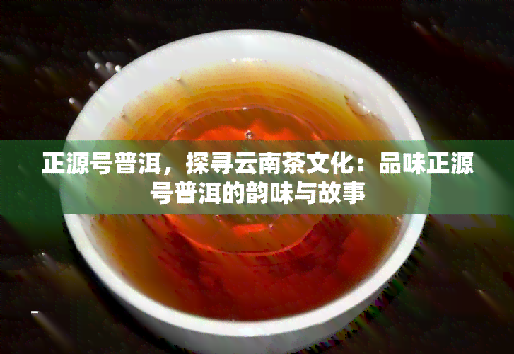 正源号普洱，探寻云南茶文化：品味正源号普洱的韵味与故事