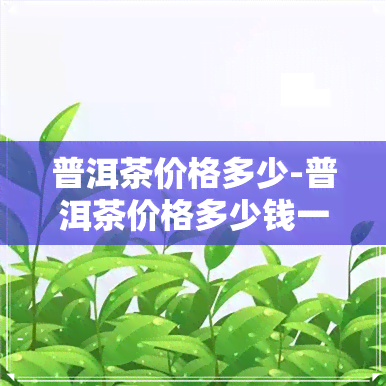 普洱茶价格多少-普洱茶价格多少钱一斤