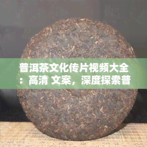 普洱茶文化传片视频大全：高清 文案，深度探索普洱茶的魅力