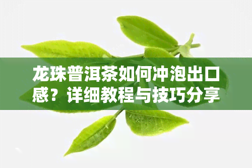 龙珠普洱茶如何冲泡出口感？详细教程与技巧分享！