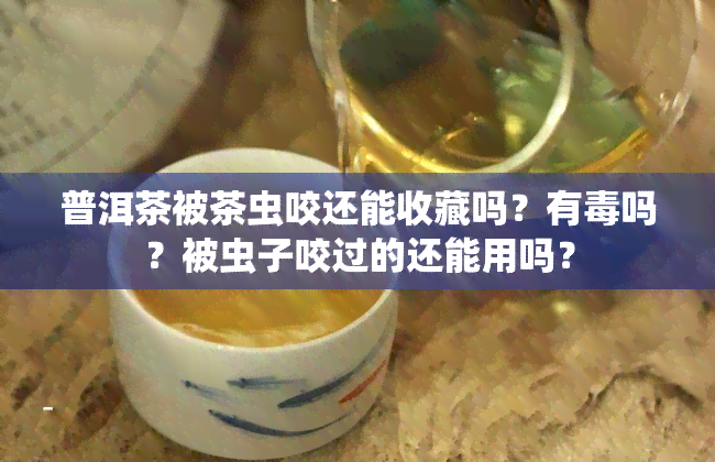 普洱茶被茶虫咬还能收藏吗？有吗？被虫子咬过的还能用吗？