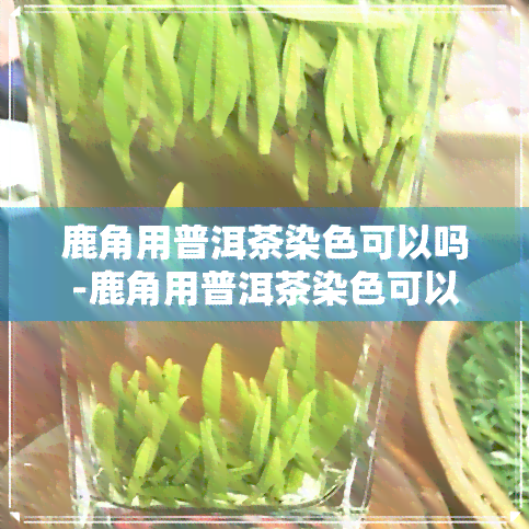 鹿角用普洱茶染色可以吗-鹿角用普洱茶染色可以吗有吗