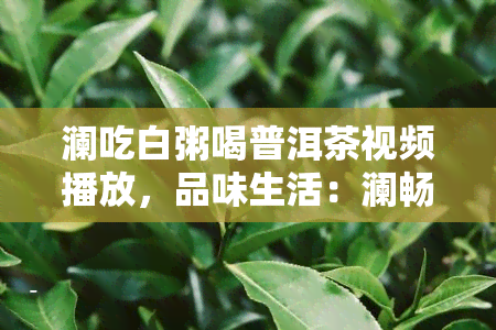 澜吃白粥喝普洱茶视频播放，品味生活：澜畅谈吃白粥喝普洱茶的日常点滴