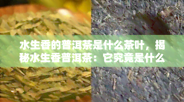 水生香的普洱茶是什么茶叶，揭秘水生香普洱茶：它究竟是什么类型的茶叶？