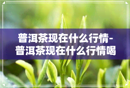 普洱茶现在什么行情-普洱茶现在什么行情喝