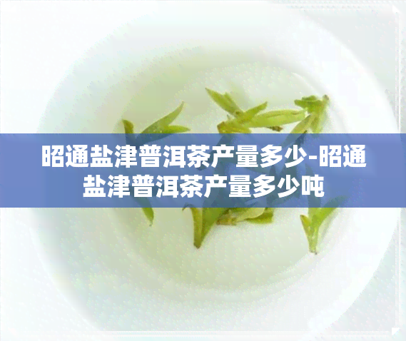 昭通盐津普洱茶产量多少-昭通盐津普洱茶产量多少吨