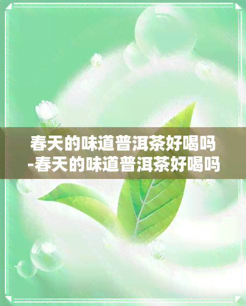 春天的味道普洱茶好喝吗-春天的味道普洱茶好喝吗知乎