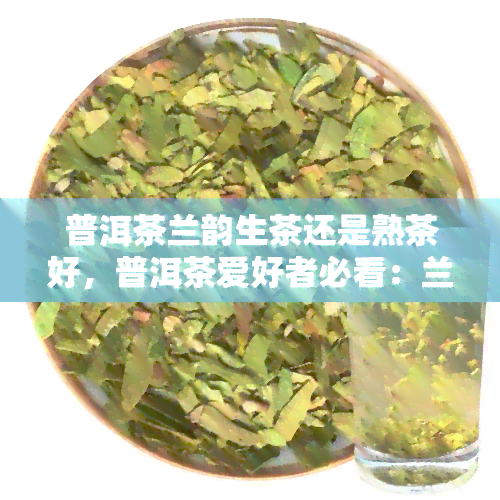 普洱茶兰韵生茶还是熟茶好，普洱茶爱好者必看：兰韵生茶与熟茶，哪个更适合你？