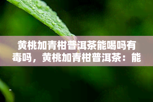 黄桃加青柑普洱茶能喝吗有吗，黄桃加青柑普洱茶：能否安全饮用？