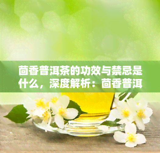 茴香普洱茶的功效与禁忌是什么，深度解析：茴香普洱茶的功效与禁忌，你不可不知的健知识！