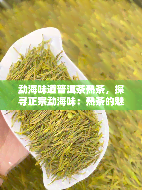 勐海味道普洱茶熟茶，探寻正宗勐海味：熟茶的魅力之源——普洱茶