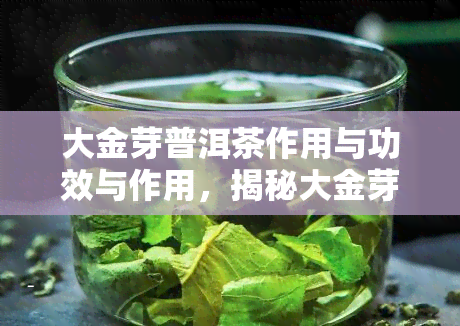 大金芽普洱茶作用与功效与作用，揭秘大金芽普洱茶的神奇作用与功效