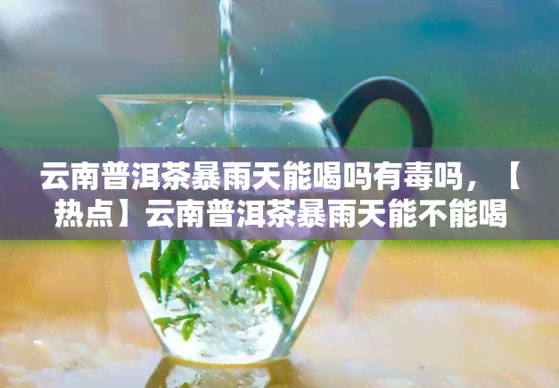 云南普洱茶暴雨天能喝吗有吗，【热点】云南普洱茶暴雨天能不能喝？专家解答有风险