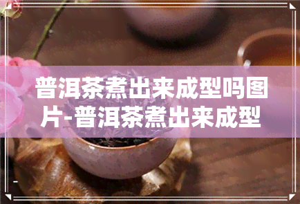 普洱茶煮出来成型吗图片-普洱茶煮出来成型吗图片大全