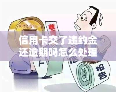 信用卡交了违约金还逾期吗怎么处理，信用卡违约金与逾期还款的处理方法