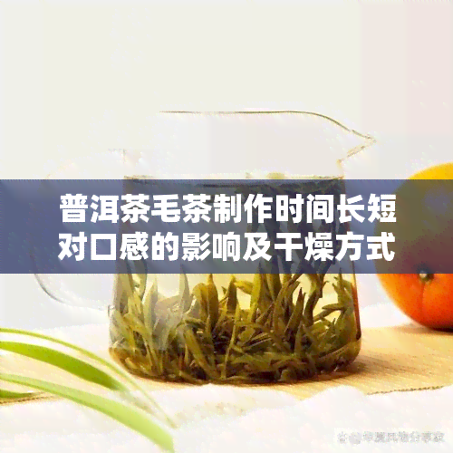 普洱茶毛茶制作时间长短对口感的影响及干燥方式探讨