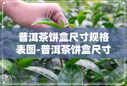 普洱茶饼盒尺寸规格表图-普洱茶饼盒尺寸规格表图片