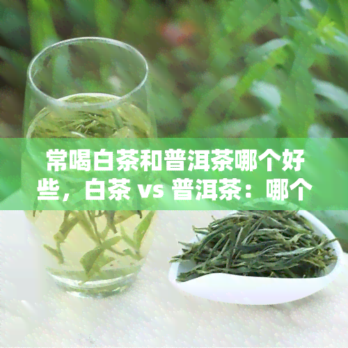 常喝白茶和普洱茶哪个好些，白茶 vs 普洱茶：哪个更适合你的日常饮用？