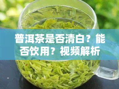 普洱茶是否清白？能否饮用？视频解析