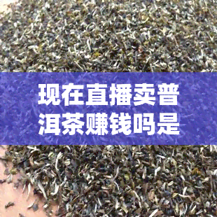 现在直播卖普洱茶赚钱吗是真的吗，揭秘真相：现在直播卖普洱茶是否真的能赚钱？