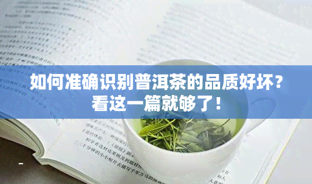 如何准确识别普洱茶的品质好坏？看这一篇就够了！