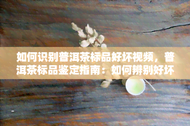 如何识别普洱茶标品好坏视频，普洱茶标品鉴定指南：如何辨别好坏？