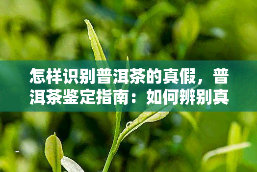 怎样识别普洱茶的真假，普洱茶鉴定指南：如何辨别真伪？