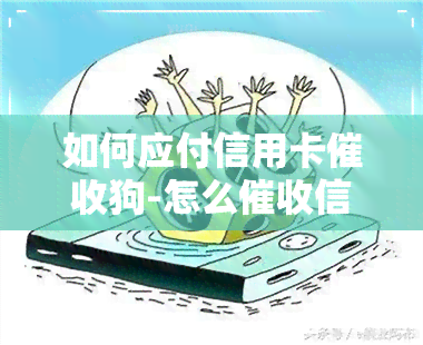 如何应付信用卡狗-怎么信用卡