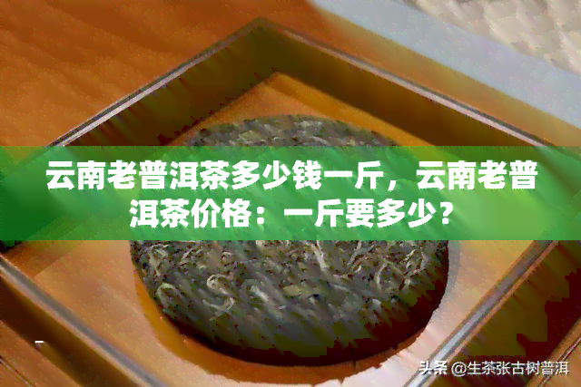 云南老普洱茶多少钱一斤，云南老普洱茶价格：一斤要多少？