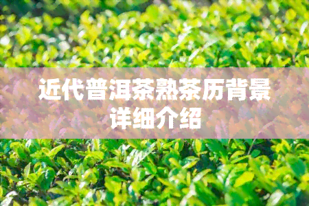 近代普洱茶熟茶历背景详细介绍