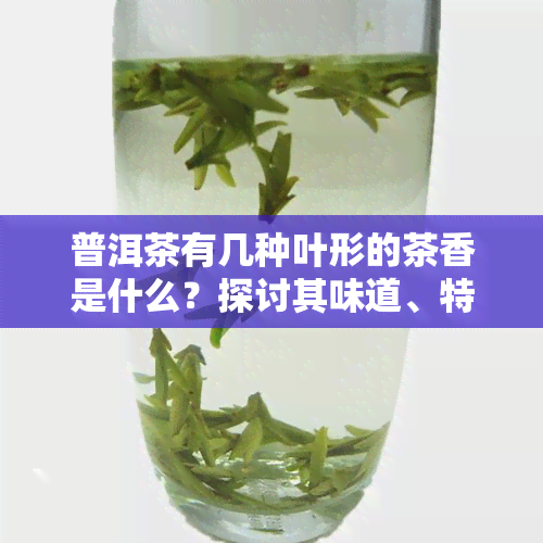 普洱茶有几种叶形的茶香是什么？探讨其味道、特点与颜色