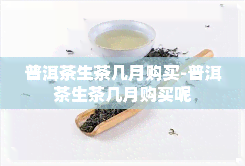 普洱茶生茶几月购买-普洱茶生茶几月购买呢