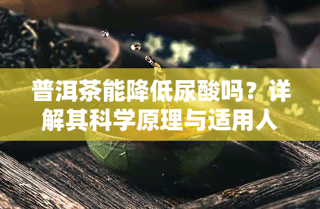 普洱茶能降低尿酸吗？详解其科学原理与适用人群