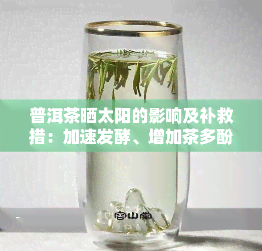 普洱茶晒太阳的影响及补救措：加速发酵、增加茶多酚？