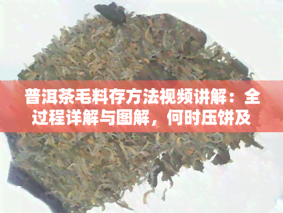 普洱茶毛料存方法视频讲解：全过程详解与图解，何时压饼及含义解析