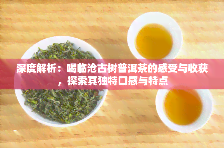 深度解析：喝临沧古树普洱茶的感受与收获，探索其独特口感与特点