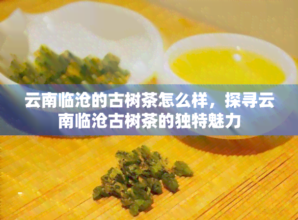 云南临沧的古树茶怎么样，探寻云南临沧古树茶的独特魅力