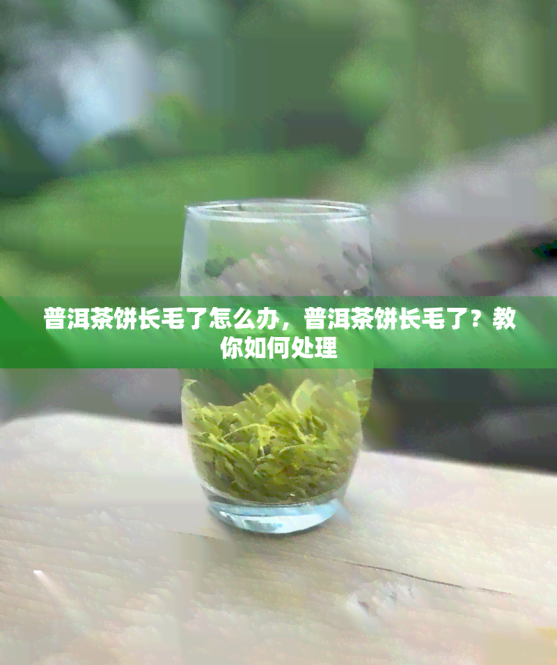 普洱茶饼长毛了怎么办，普洱茶饼长毛了？教你如何处理