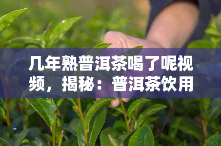 几年熟普洱茶喝了呢视频，揭秘：普洱茶饮用年限，几年的熟普洱口感？看视频揭晓！