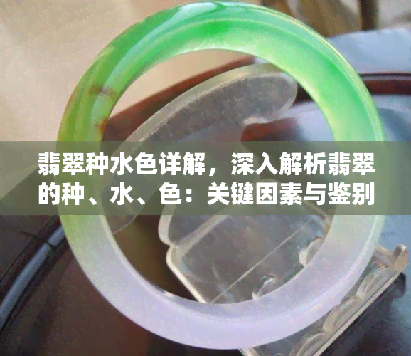 翡翠种水色详解，深入解析翡翠的种、水、色：关键因素与鉴别方法