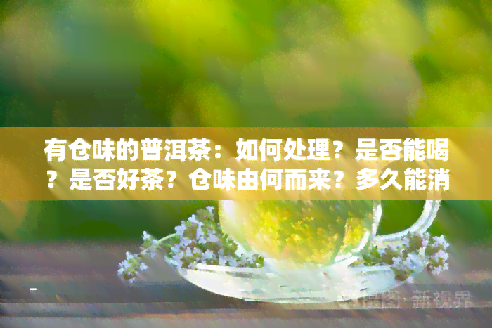 有仓味的普洱茶：如何处理？是否能喝？是否好茶？仓味由何而来？多久能消退？