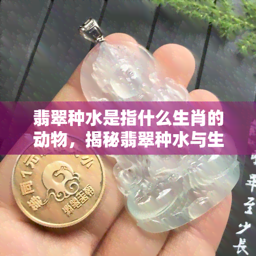 翡翠种水是指什么生肖的动物，揭秘翡翠种水与生肖动物的关系