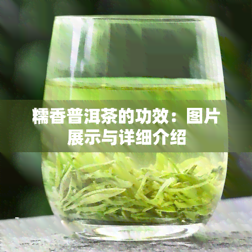 糯香普洱茶的功效：图片展示与详细介绍